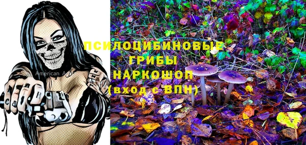 таблы Михайловск