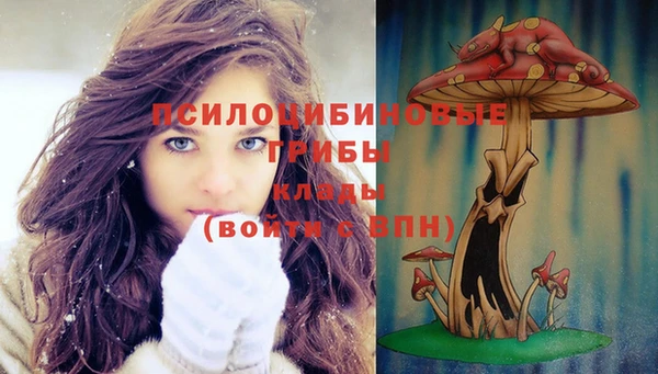 прущая мука Михайлов