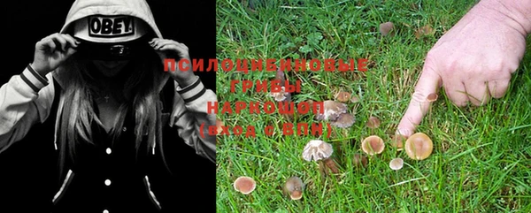 каннабис Михайловка