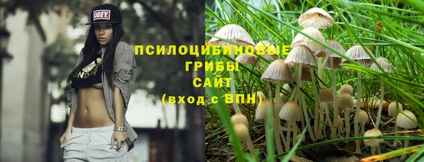 каннабис Михайловка