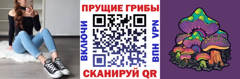 купить  цена  OMG сайт  Псилоцибиновые грибы MAGIC MUSHROOMS  Шебекино 