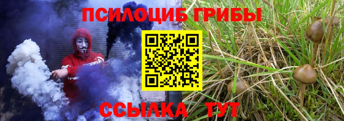 Галлюциногенные грибы GOLDEN TEACHER  Шебекино  где продают наркотики  Галлюциногенные грибы мухоморы 