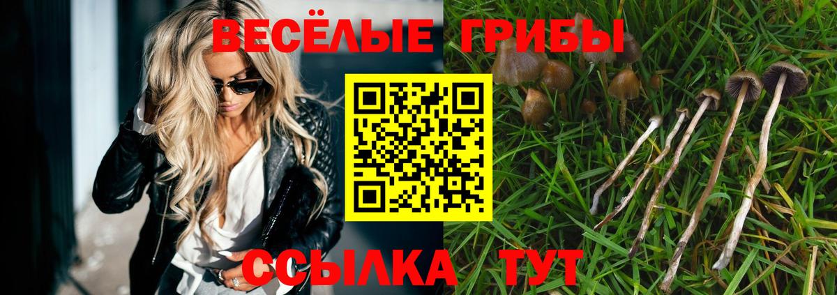 Галлюциногенные грибы мухоморы  Псилоцибиновые грибы MAGIC MUSHROOMS  Вход с VPN  Шебекино 