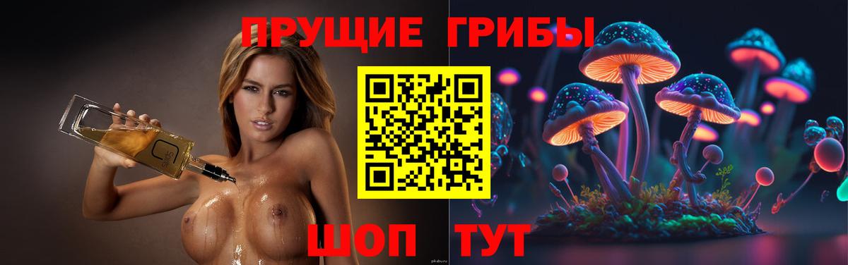 Галлюциногенные грибы прущие грибы Шебекино
