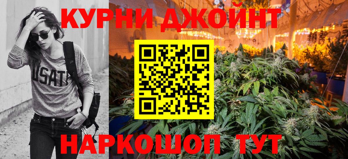 Конопля сатива Шебекино