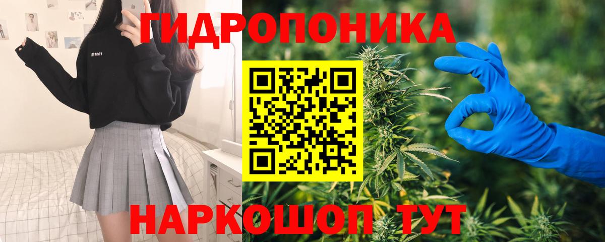 Шебекино  Шишки марихуана марихуана  Шишки марихуана гибрид  Вход с VPN 